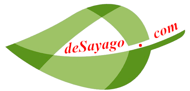 deSayago logo