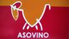 Bermillo_Asovino_logo